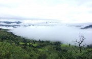TÊN THƯƠNG HIỆU MOUNTAIN QUEEN